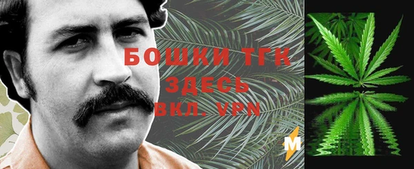скорость Богданович