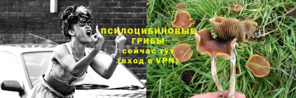 мефедрон Богородицк