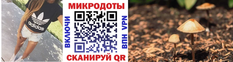 блэк спрут маркетплейс  наркотики  Боровичи  Псилоцибиновые грибы прущие грибы 